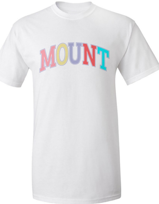 "MOUNT" Tee in Rainbow/White